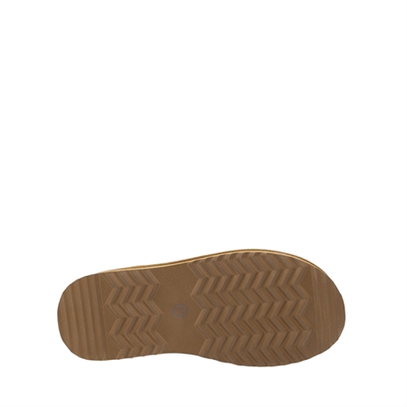 3631MONTONECAMELI24 (4)