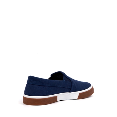 FOR THE PURPOSES OF THIS REGULATION: