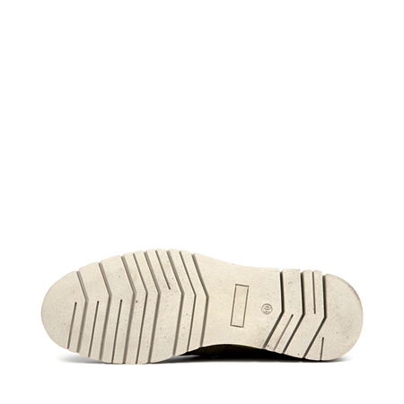 CARNOTN.1036