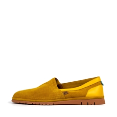 CARNOTN.1029