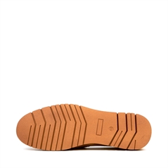 CARNOTN.1031