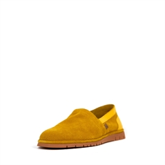 CARNOTN.1034
