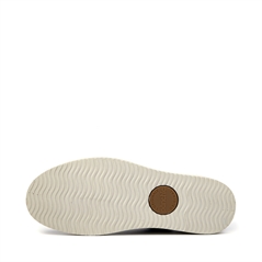 CARNOTN.1081